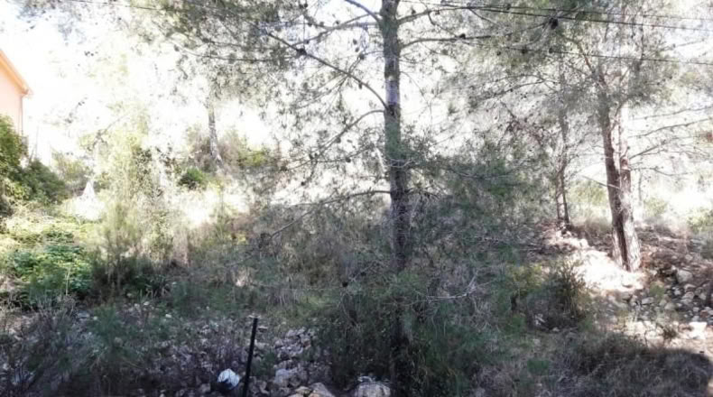Tarragona - Cunit - 947m2