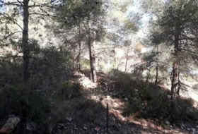 Foto 15