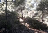 Urban land for sale on España, Cunit, ref: TR124822 photo