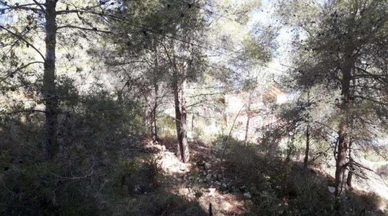 Tarragona - Cunit - 947m2