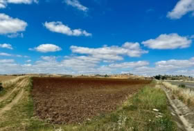 Fuente Obejuna 21983&nbsp;m² 