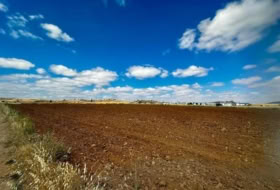 Fuente Obejuna 21983&nbsp;m² 