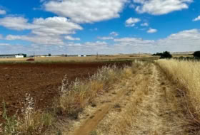 Fuente Obejuna 21983&nbsp;m² 