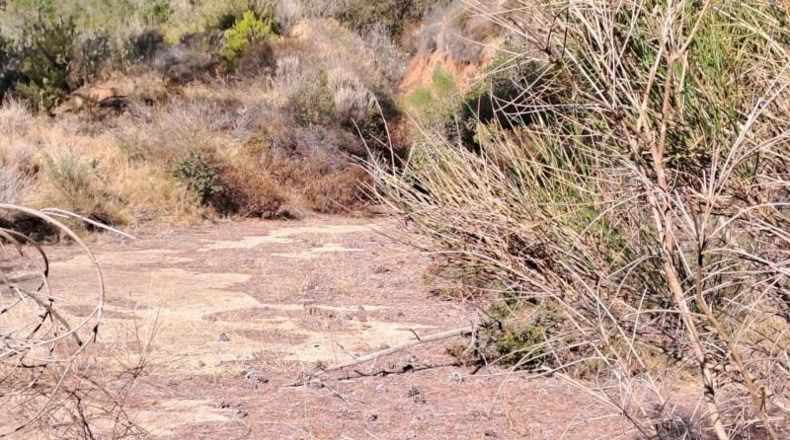 Tarragona - Alforja - 10883m2