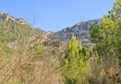 Terreno no urbanizable en venta en la España, Alforja, ref: TR174752 foto