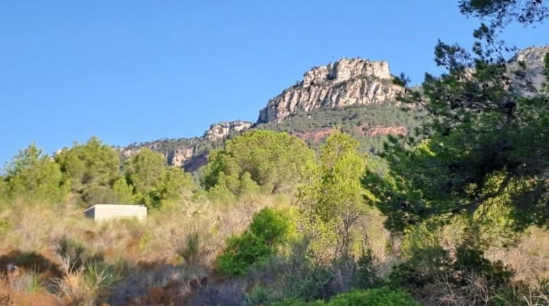Tarragona - Alforja - 10883m2