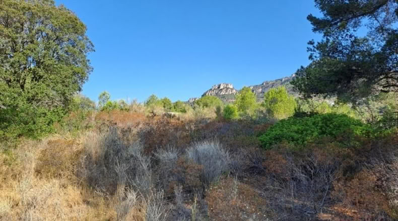 Tarragona - Alforja - 10883m2