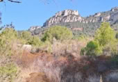 Terreno no urbanizable en venta en la España, Alforja, ref: TR174752 foto