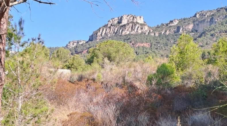 Tarragona - Alforja - 10883m2