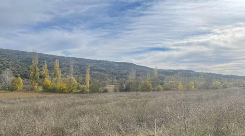 Comunidad de Madrid - Orusco de Tajuña - 10143m2