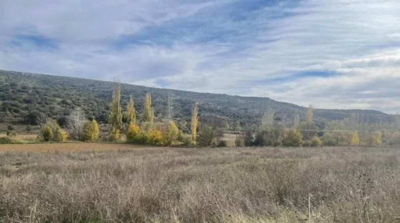 Comunidad de Madrid - Orusco de Tajuña - 10143m2