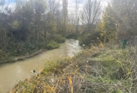 Foto 13