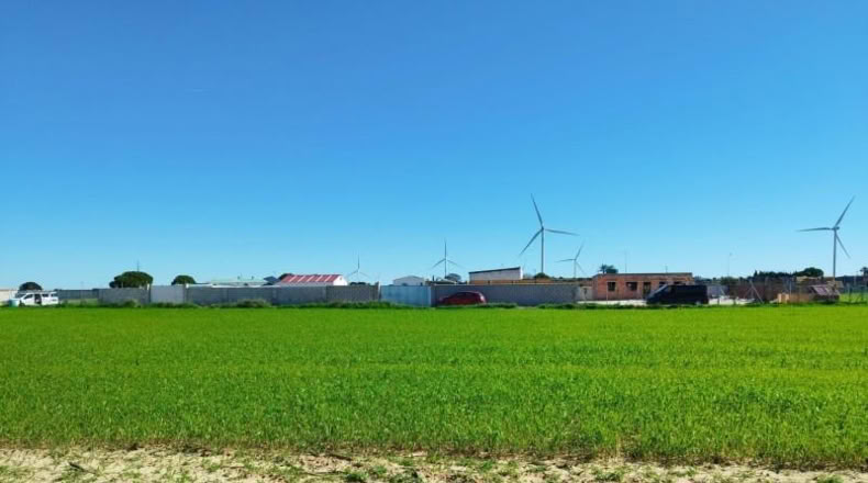 Кадис - Puerto Real - 1000m2