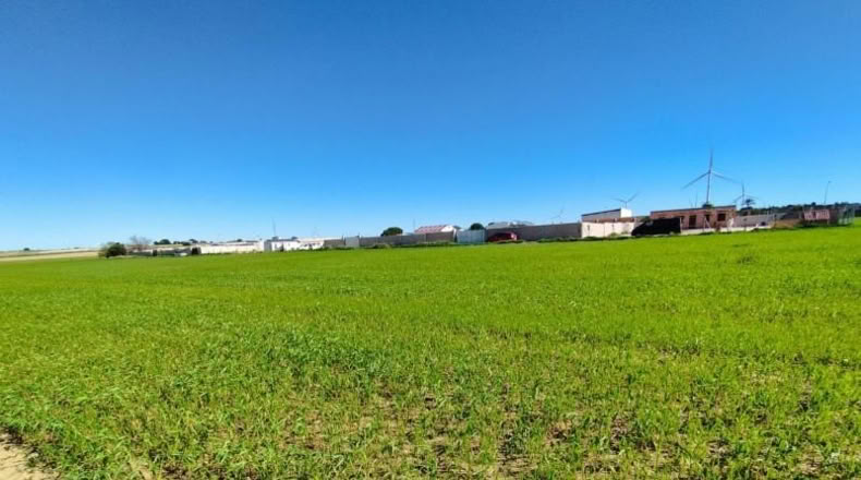 Кадис - Puerto Real - 1000m2