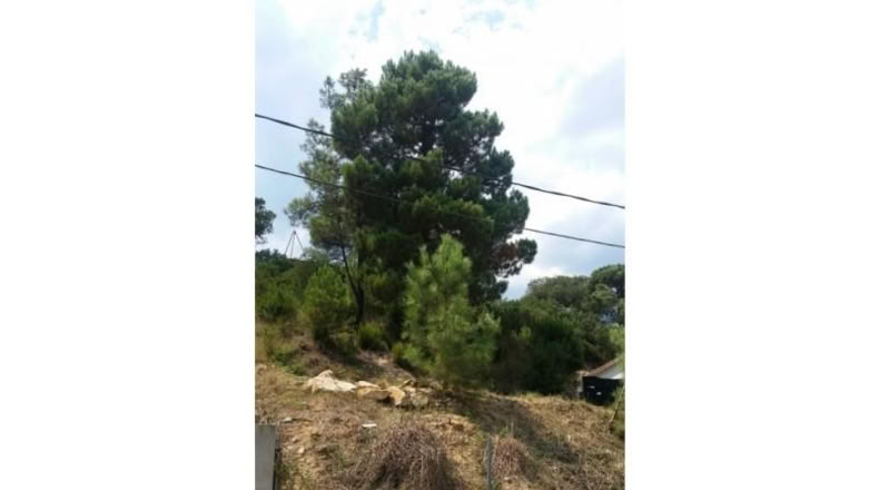 Gerona - Maçanet de la Selva - 950m2