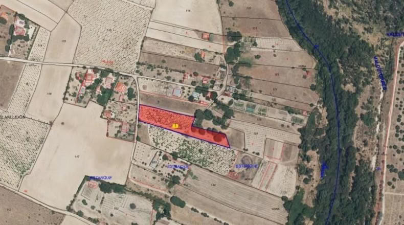 Community of Madrid - El Molar - 4393m2