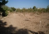Terreny no urbanitzable en venda a la España, Calasparra, ref.: TR119459 foto