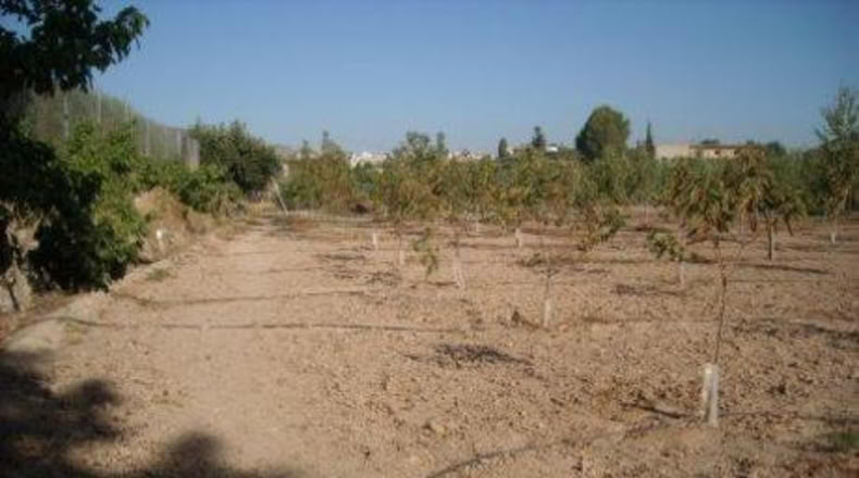 Múrcia - Calasparra - 3460m2