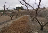 Terreny no urbanitzable en venda a la España, Calasparra, ref.: TR119459 foto