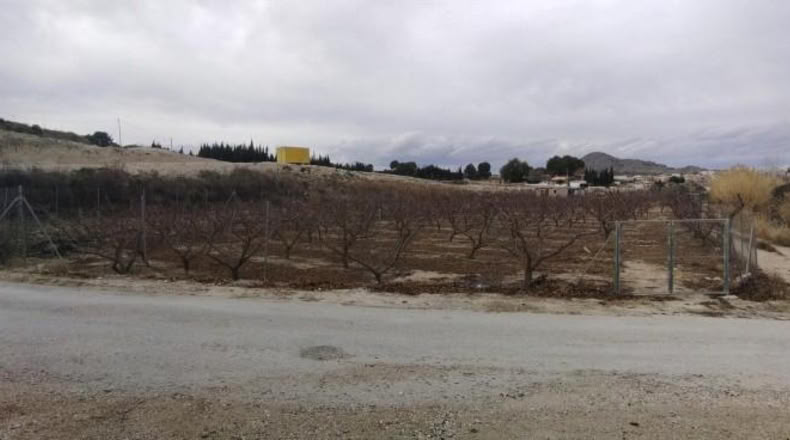 Múrcia - Calasparra - 3460m2