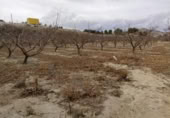 Terreny no urbanitzable en venda a la España, Calasparra, ref.: TR119459 foto