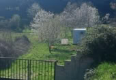 Detached villa with land for sale on España, Molinaseca, ref: TR302355 photo