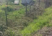 Detached villa with land for sale on España, Molinaseca, ref: TR302355 photo