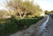 Terreny no urbanitzable en venda a la España, Sierra de Fuentes, ref.: TR115690 foto