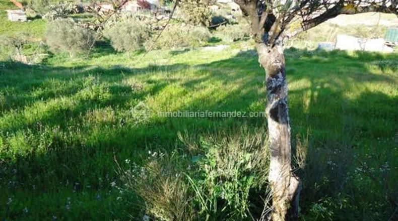 Cáceres - Sierra de Fuentes - 1400m2