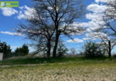 Xalet independent amb terreny en venda a la España, Aranda de Duero, ref.: TR309340 foto