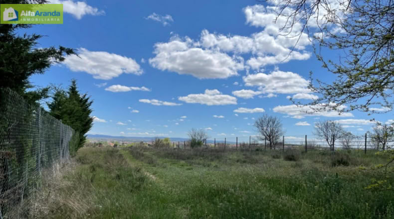 Burgos - Aranda de Duero - 4439m2