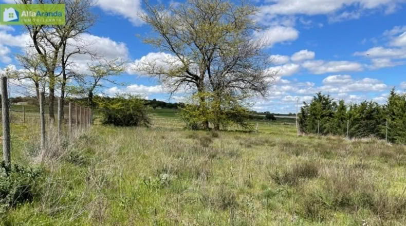 Burgos - Aranda de Duero - 4439m2