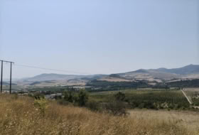 Belascoáin 1789&nbsp;m²