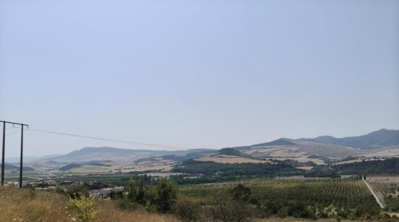 Navarra - Belascoáin - 1789m2