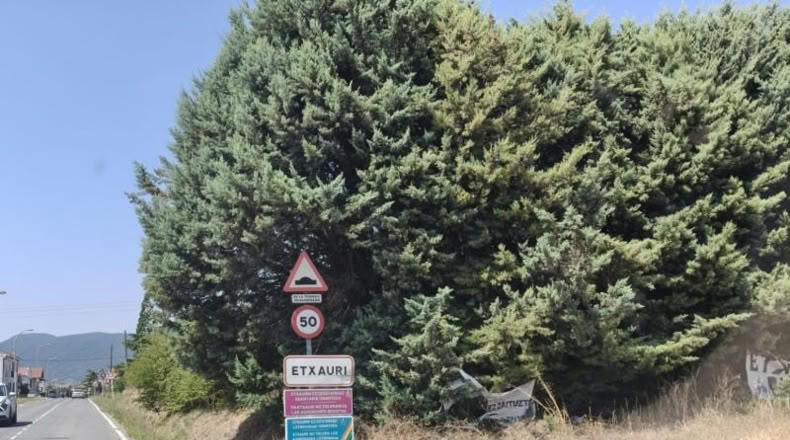Navarra - Belascoáin - 1789m2