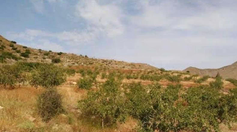 Murcia - Cartagena - 28998m2