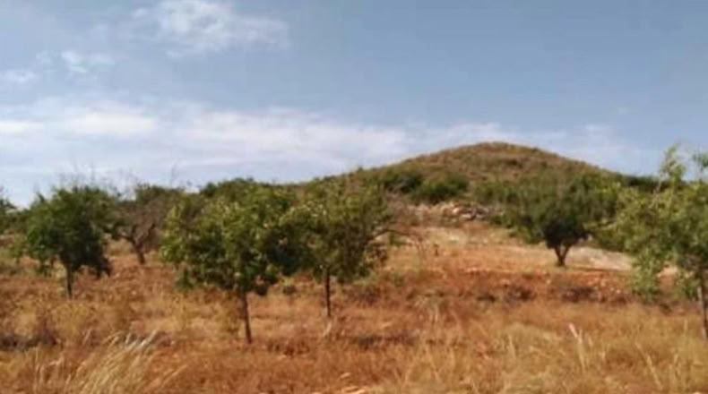 Murcia - Cartagena - 28998m2