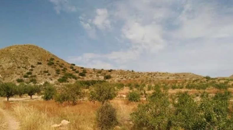 Murcia - Cartagena - 28998m2