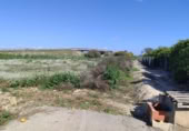 Non-developable land for sale on España, Formentera del Segura, ref: TR403536 photo