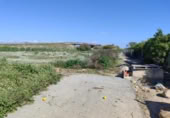 Non-developable land for sale on España, Formentera del Segura, ref: TR403536 photo