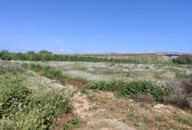Formentera del Segura 201&nbsp;м²