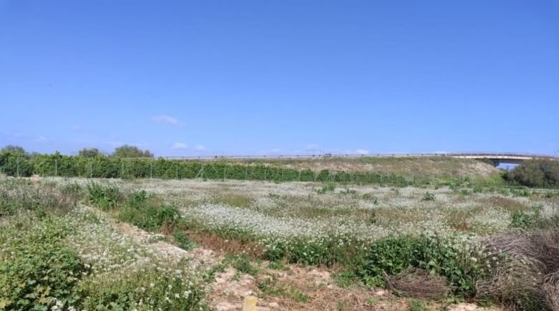 Alicante - Formentera del Segura - 201m2