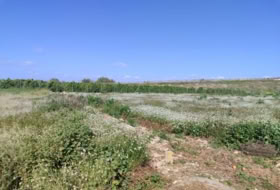 Formentera del Segura 201&nbsp;м²