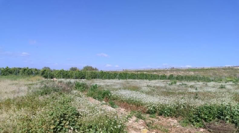Alicante - Formentera del Segura - 201m2