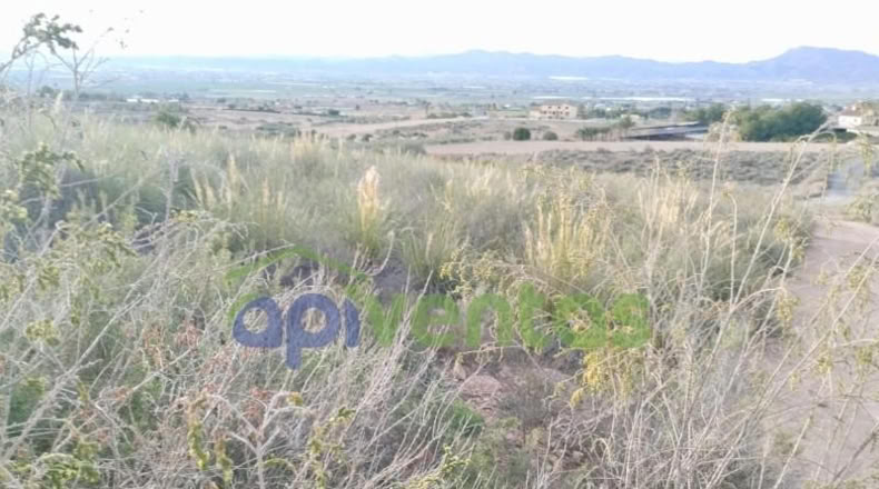 Murcia - Lorca - 5000m2