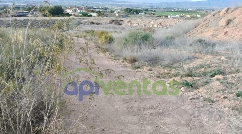 Murcia - Lorca - 5000m2