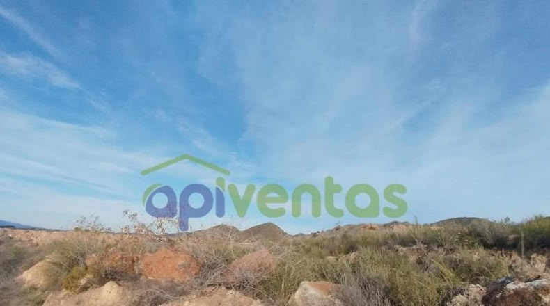 Murcia - Lorca - 5000m2