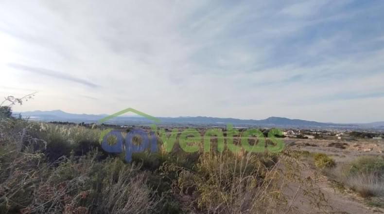 Murcia - Lorca - 5000m2