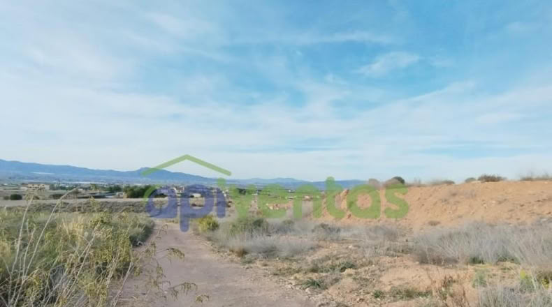 Murcia - Lorca - 5000m2