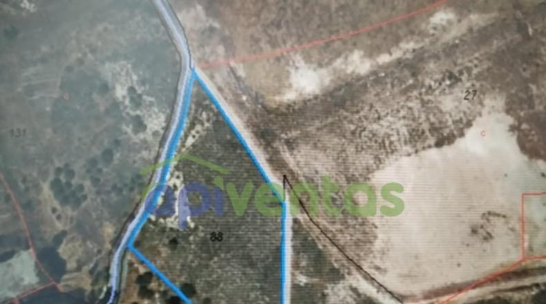Murcia - Lorca - 5000m2
